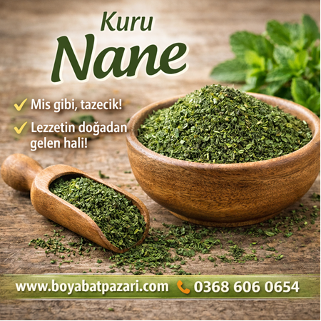 NANE 250 GR KURU